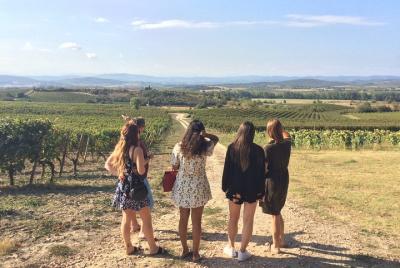 Half day wine tour. Shared tour from Carcassonne.