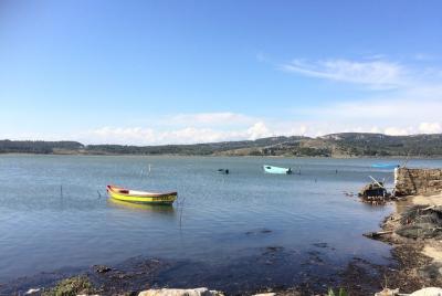 Day tour to Narbonne, Gruissan, Lagrasse. Shared tour from Carcas