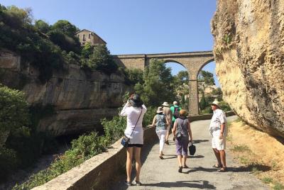 Shared tour to Lastours, wine tasting, Minerve, Canal du Midi. Fr