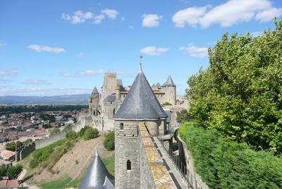 Day to the Cité de Carcassonne and wine tasting. Shared tour from Carcassonne Day to the Cité de Carcassonne and wine tasting. Shared tour from Carcassonne