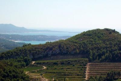 Toulon and Surroundings - 8hour tour