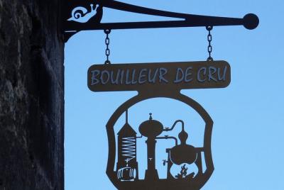 2-Hour Electric Bike Ride through the Cognac Vineyard