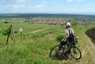 Self-guided bike tour in the Pfaffenheim vineyards Self-guided bike tour in the Pfaffenheim vineyards