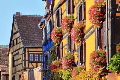 Small-Group Gems of Alsace Day Tour from Colmar