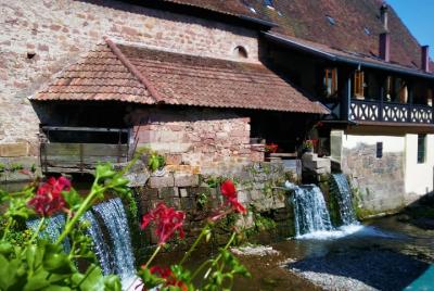 Safari-Tour Pays de Barr: 1 day