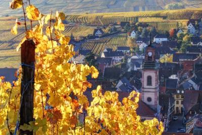 Alsace Half Day Wine Tour from Colmar Alsace Half Day Wine Tour from Colmar