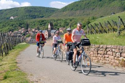 Through Alsace Vineyards and Wine Villages Private Bike Tour Through Alsace Vineyards and Wine Villages Private Bike Tour