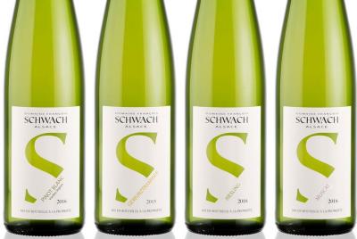 Introduction to Alsace wines