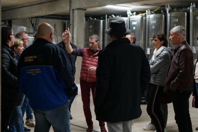 Exclusive tour: in the skin of the winemaker