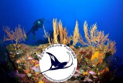 Discovery Scuba Diving Pack Discovery Scuba Diving Pack