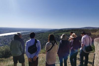 Northern Rhône Valley Wine Half Day Tour from Lyon