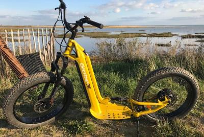 Electric Scooter Guided Tour Electric Scooter Guided Tour