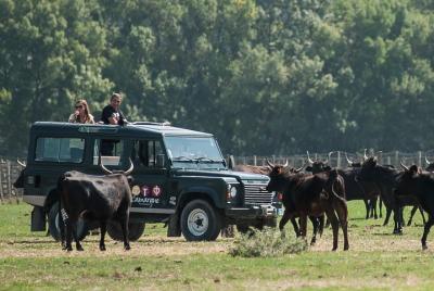 3 Hour Camargue 4x4 Safari from Le Grau-du Roi 3 Hour Camargue 4x4 Safari from Le Grau-du Roi