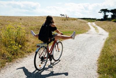 Electric bike excursion in Camargue Electric bike excursion in Camargue