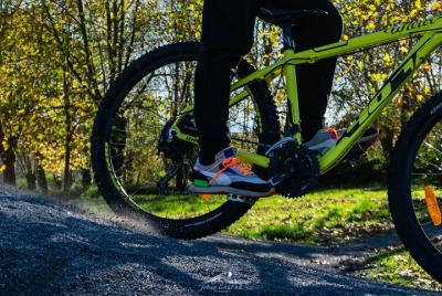 Private tour of the Hautes-Pyrénées by bike