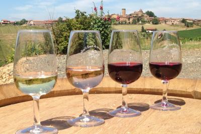 Beaujolais & Perouges Medieval Town - Full Day - Small Group Tour from Lyon