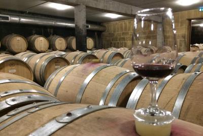 Cotes du Rhone Wine Tour - Full Day - Small Group Tour from Lyon
