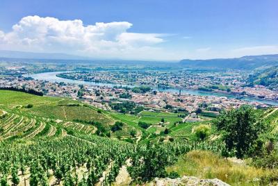 Northern Rhône Valley Customizable Private Day Tour with Wine Tasting from Lyon