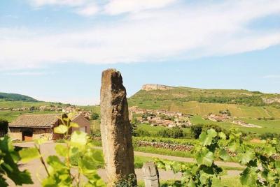 Burgundy South Chardonnay Region Private Day Tour with Wine Tasting from Lyon