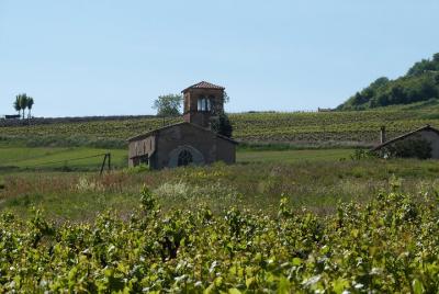 Beaujolais and Perouges Private Tour