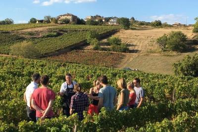 Beaujolais & Perouges Medieval Town - Private Tour - Full Day from Lyon