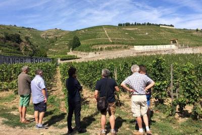 Cotes du Rhone Wine Tour - Private Tour - Full Day From Lyon