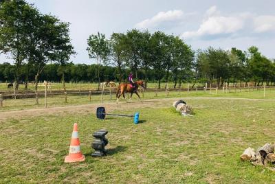 Stage holidays by the day