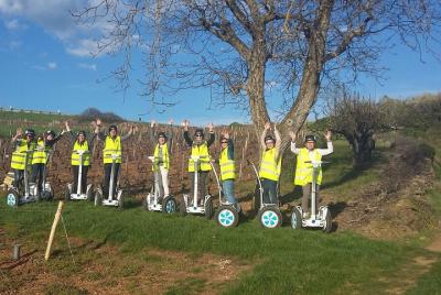 Full introduction to the Segway Full introduction to the Segway