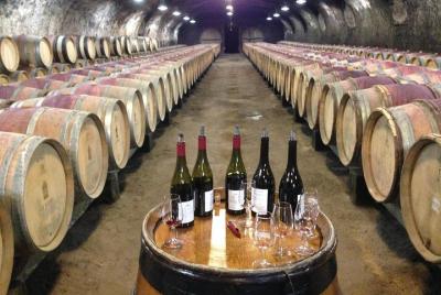 Beaujolais Crus Wines & Castles - Afternoon - Small Group Tour from Lyon