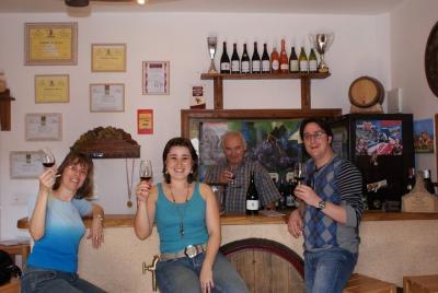Beaujolais Wine Discovery - Private Tour - Half Day