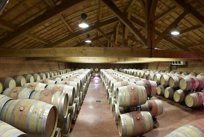 Half-Day Cotes du Rhone Private Wine Tour from Lyon