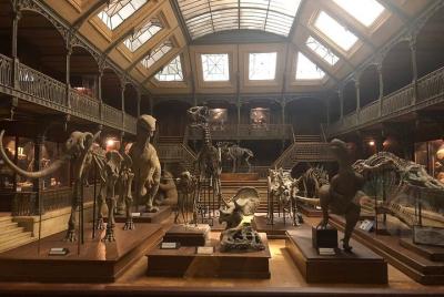 Lyon Museum of Cinema Miniature Admission Ticket