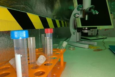 Lyon Walking Dead Escape Game Experience