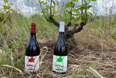 Initiation to Tasting Workshop at Château Champ-Renard