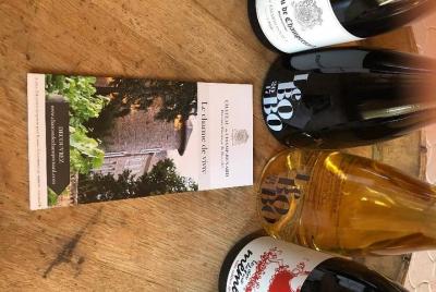 Private Vino-Challenge at Château de Champ-Renard