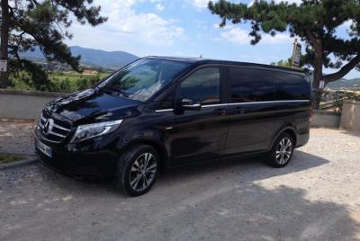 Shared Arrival Transfer: Gare de Lyon Saint-Exupery to Lyon Hotel