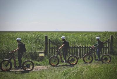 All-terrain electric scooter rental in Vouneuil-sous-Biard