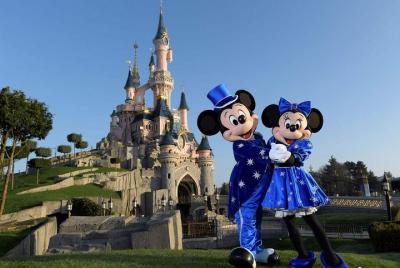 Private Airport Transfer - Disneyland to Paris Charles de Gaulle  Private Airport Transfer - Disneyland to Paris Charles de Gaulle
