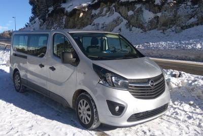 Private Transfer: Disneyland París to París Train Stations or City by Minivan Private Transfer: Disneyland París to París Train Stations or City by Minivan