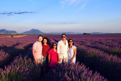 Sunset Lavender Tour in Valensole with pickup from Marseille  Sunset Lavender Tour in Valensole with pickup from Marseille