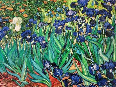 Arles Private Half-Day Tour from Marseille or Aix en Provence Arles Private Half-Day Tour from Marseille or Aix en Provence