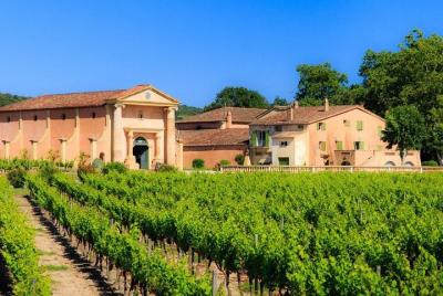 Coteaux D'Aix Ste Victoire Wine Tour - 8hours