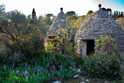 hilltop villages in Luberon-8hours
