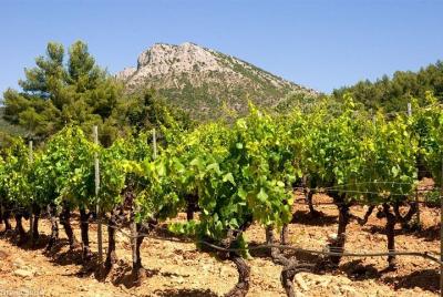 Aix en Provence & Cassis Private Day Tour Marseille Shore excursion Aix en Provence & Cassis Private Day Tour Marseille Shore excursion