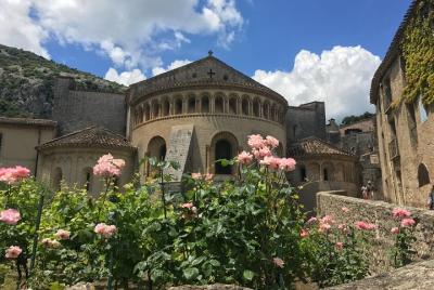 Full day small-group tour Vineyards and Villages from Montpellier