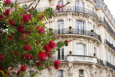 A well-being and revitalizing day in Montpellier A well-being and revitalizing day in Montpellier