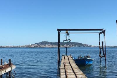 Tour of the regional specialities: wines, oysters, cheeses, olives, biscuits from SETE