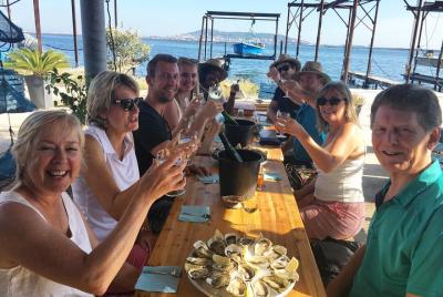 Small-Group Half-Day Languedoc Wine and Oyster Tour from Montpell Small-Group Half-Day Languedoc Wine and Oyster Tour from Montpell