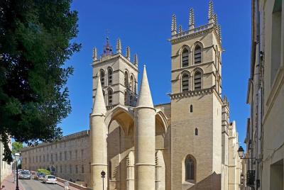 Private 2-hour Walking Tour of the Historical Center of Montpelli