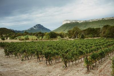 Hike to the top of "Pic Saint Loup" and a wine tasting  Hike to the top of